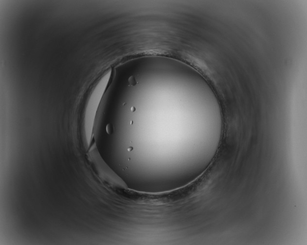 X0000088040299200705251307