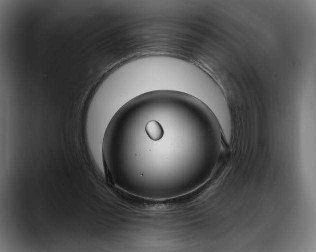 X0000088040301200705251307