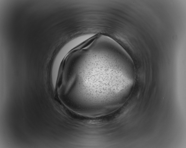 X0000088040303200705251307