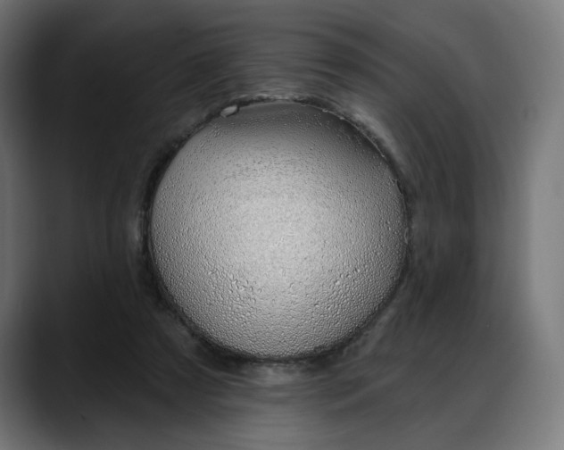 X0000088040305200705251307