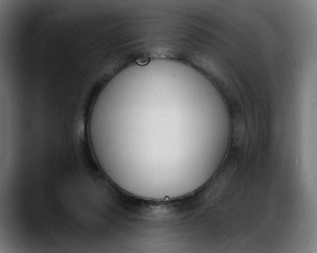 X0000088040310200705251307