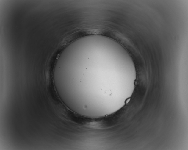 X0000088040312200705251307