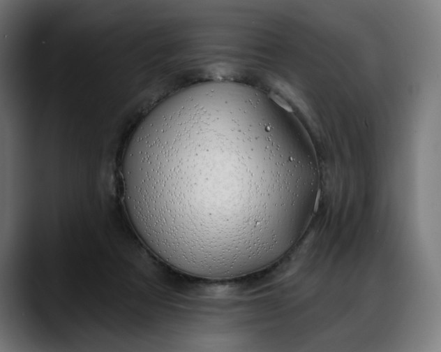 X0000088040313200705251307