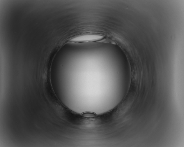 X0000088040315200705251307