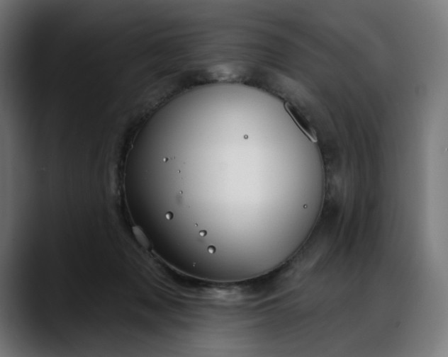 X0000088040317200705251307