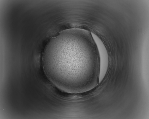 X0000088040319200705251307