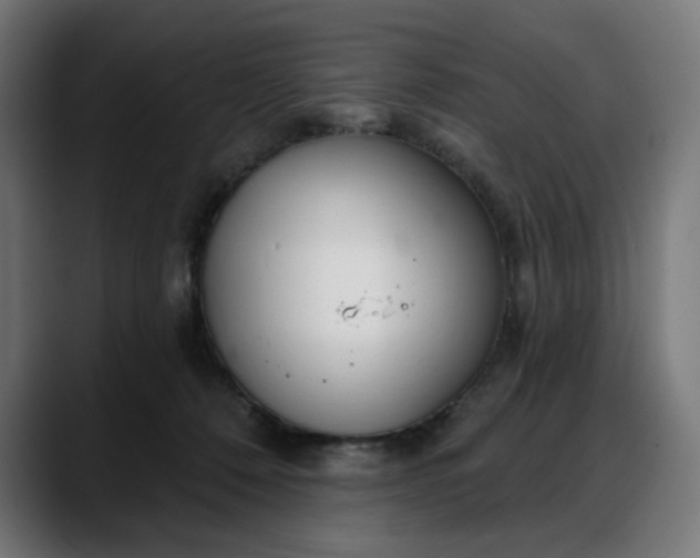 X0000088040320200705251307