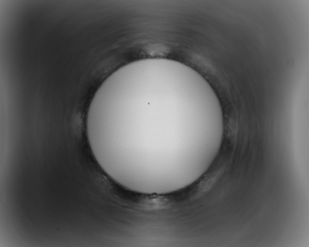 X0000088040321200705251307