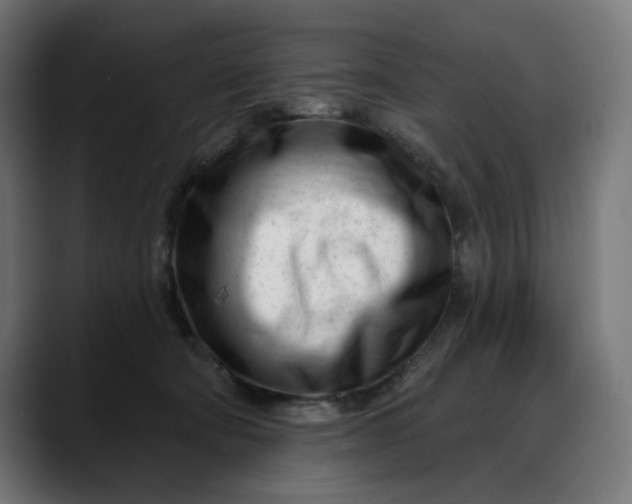 X0000088040322200705251307