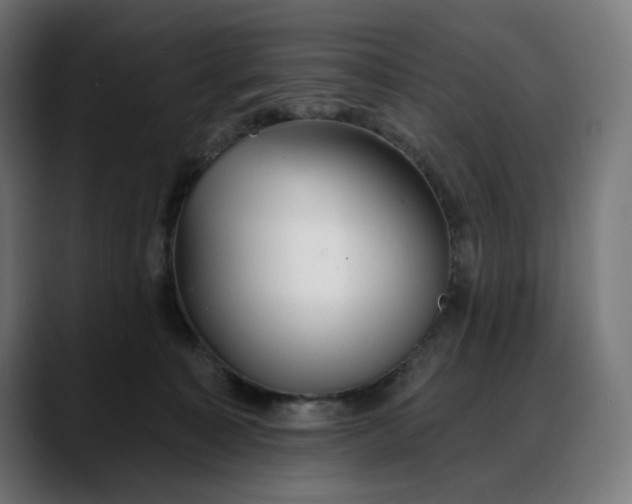 X0000088040323200705251307