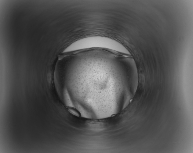 X0000088040331200705251307