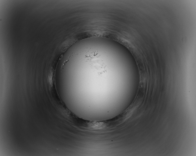 X0000088040334200705251307