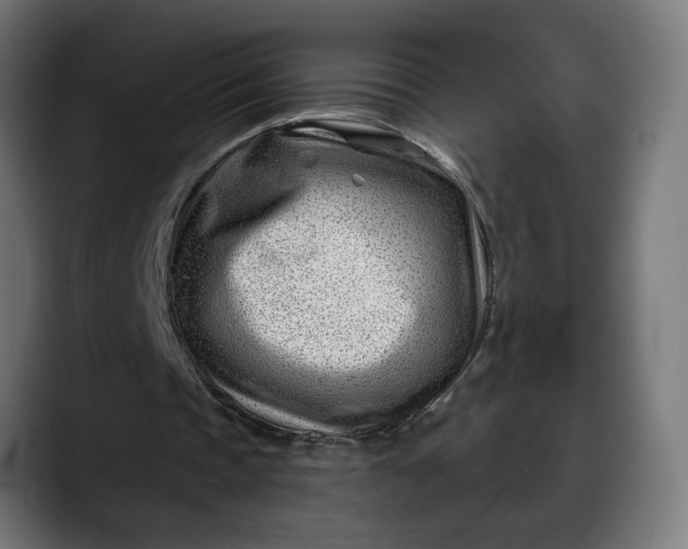 X0000088040337200705251306