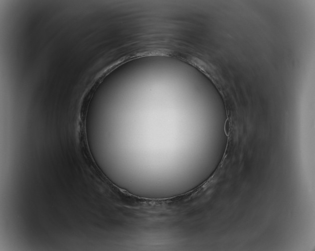 X0000088040338200705251306