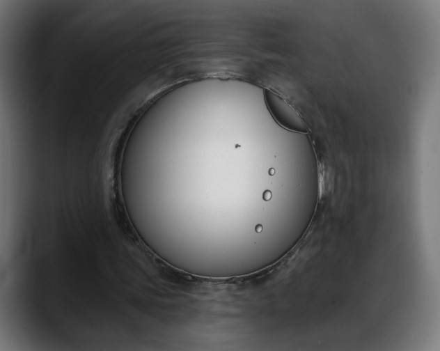 X0000088040339200705251306