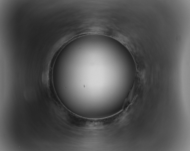 X0000088040340200705251306