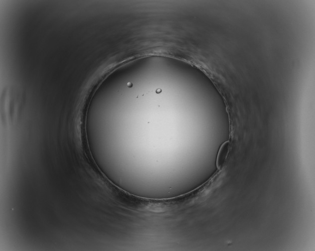 X0000088040341200705251306