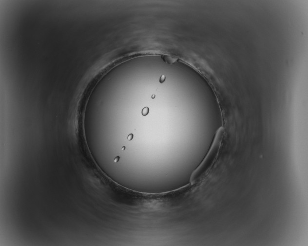 X0000088040344200705251306