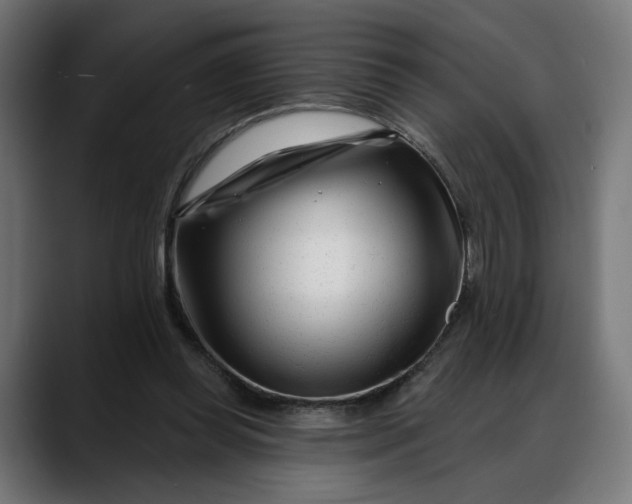 X0000088040349200705251306