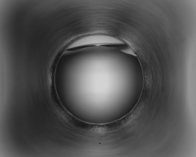 X0000088040350200705251306