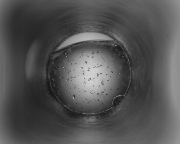 X0000088040353200705251306