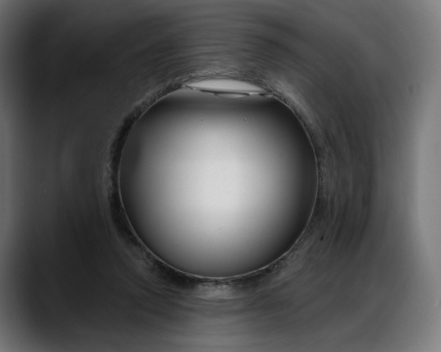 X0000088040354200705251306