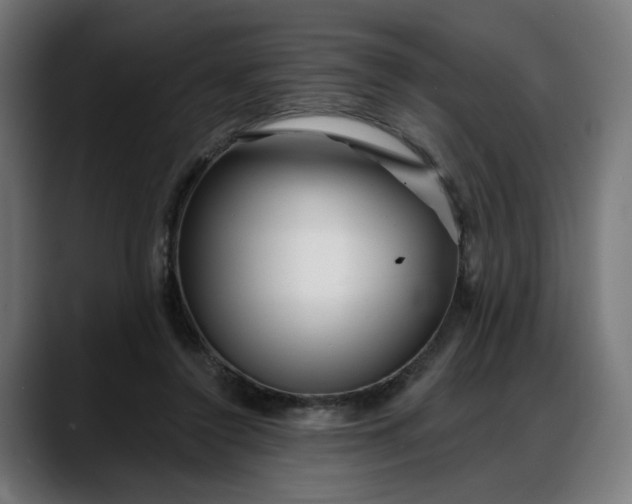 X0000088040356200705251306