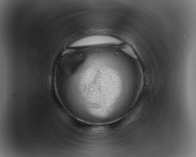 X0000088040357200705251306