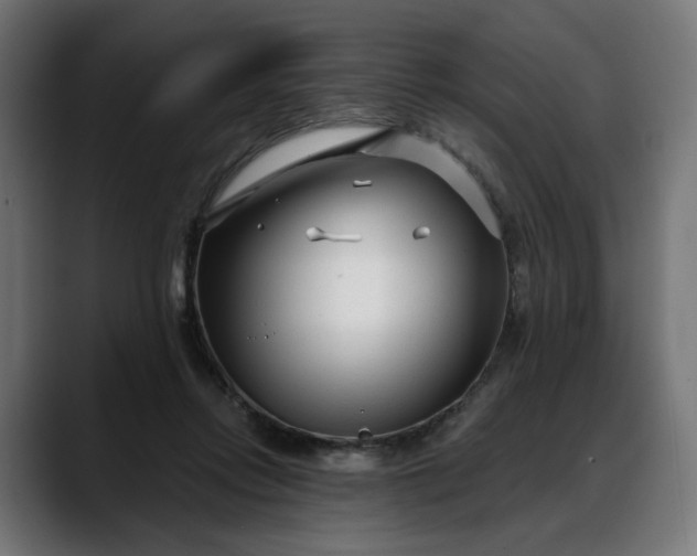 X0000088040358200705251306