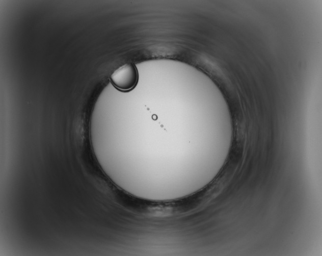 X0000088040362200705251306