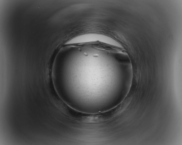 X0000088040366200705251306