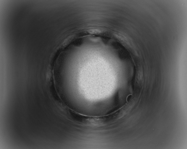 X0000088040367200705251306