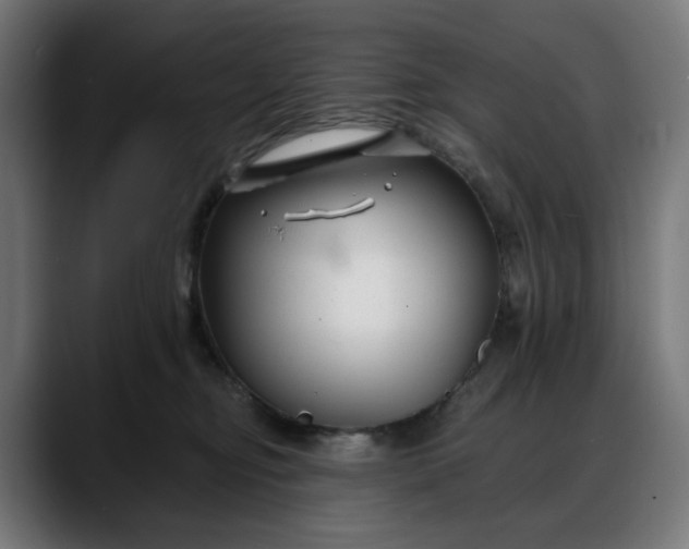 X0000088040374200705251306