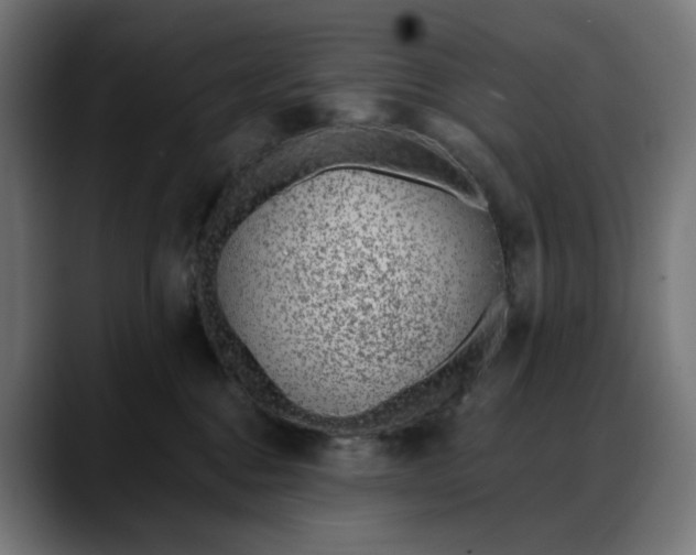 X0000088040376200705251306