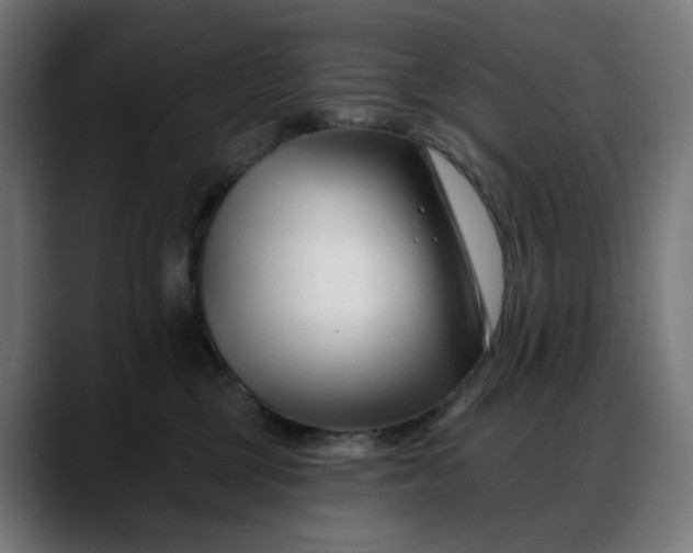 X0000088040377200705251306