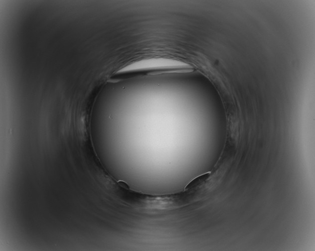 X0000088040378200705251306