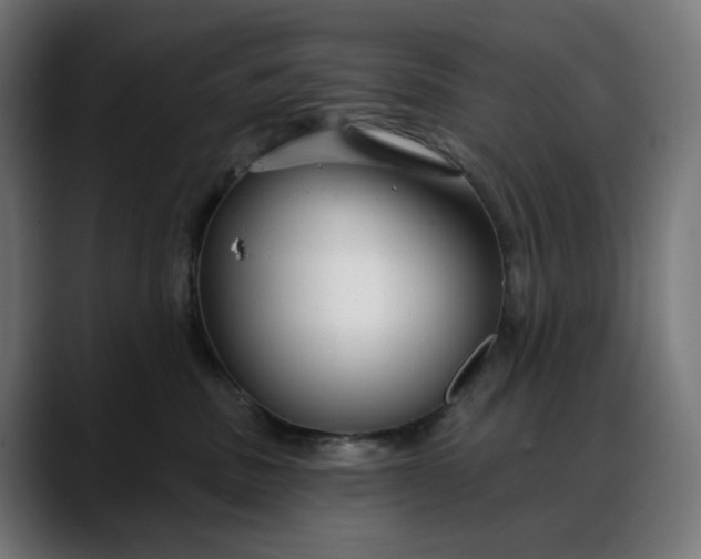 X0000088040379200705251307