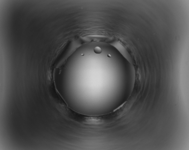 X0000088040380200705251307