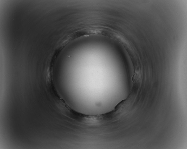 X0000088040381200705251307