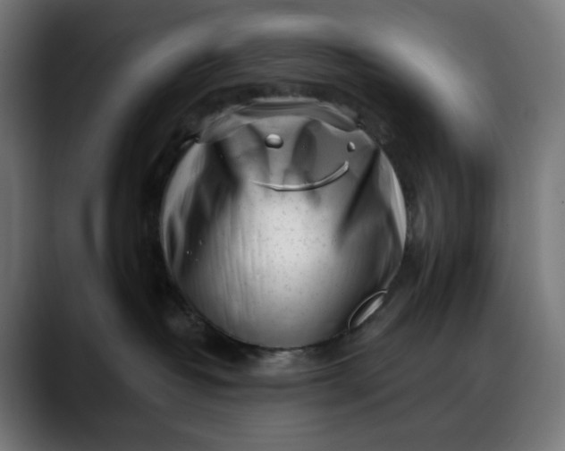 X0000088040382200705251307