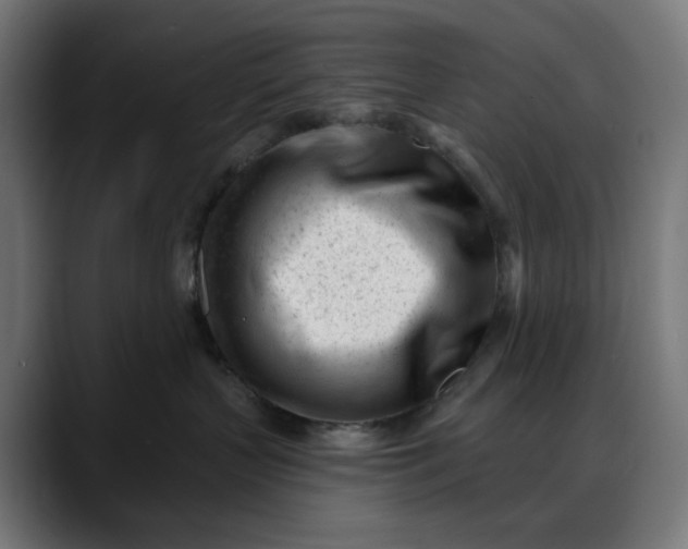 X0000088040383200705251307