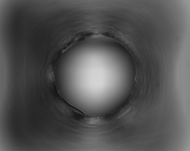 X0000088040384200705251307