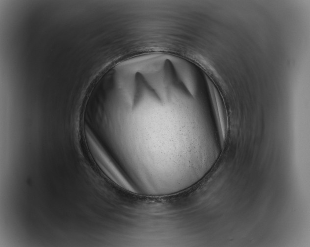 X0000088040386200705251306