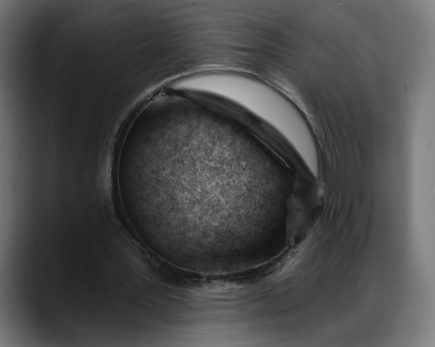 X0000088040387200705251306