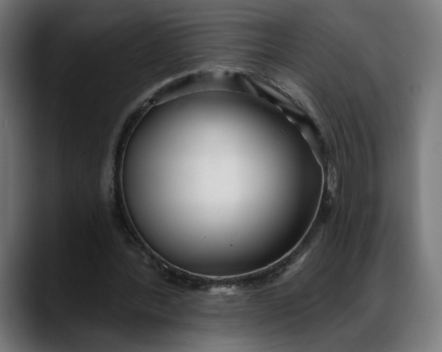 X0000088040388200705251306