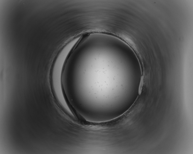 X0000088040389200705251306