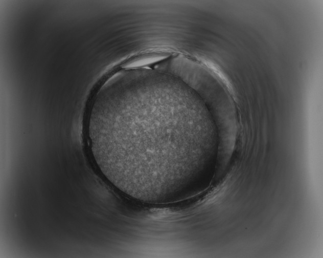 X0000088040391200705251306