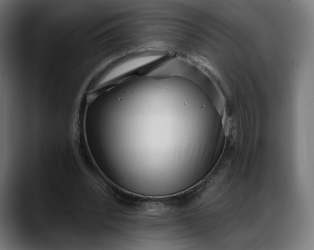 X0000088040392200705251306