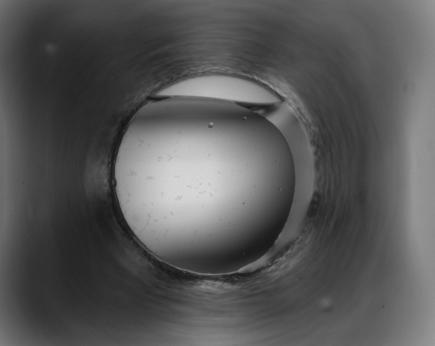 X0000088040393200705251306