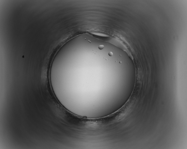 X0000088040394200705251306